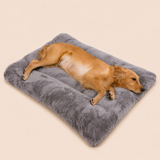 CalmNest™ Cama Premium 